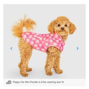 Pick Me Poncho by Canada Pooch